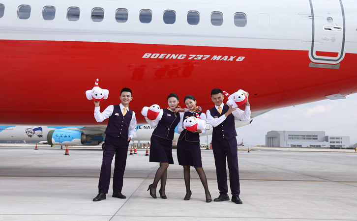 遂平祥鹏航空公司